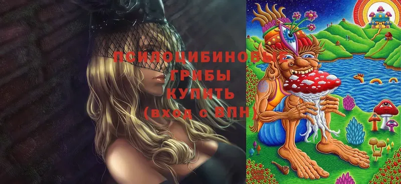 Галлюциногенные грибы Cubensis  как найти закладки  Краснообск 